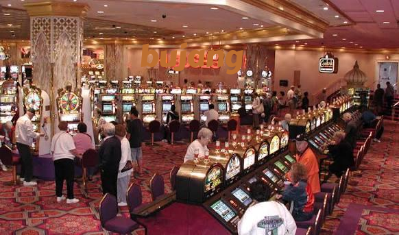 bujang Live Game Shows at bujang